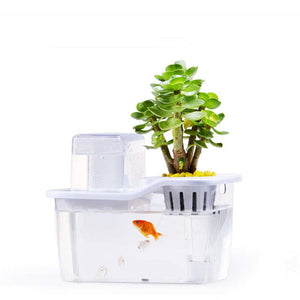 Mini Aquaponics Fish Tank with Circulation System
