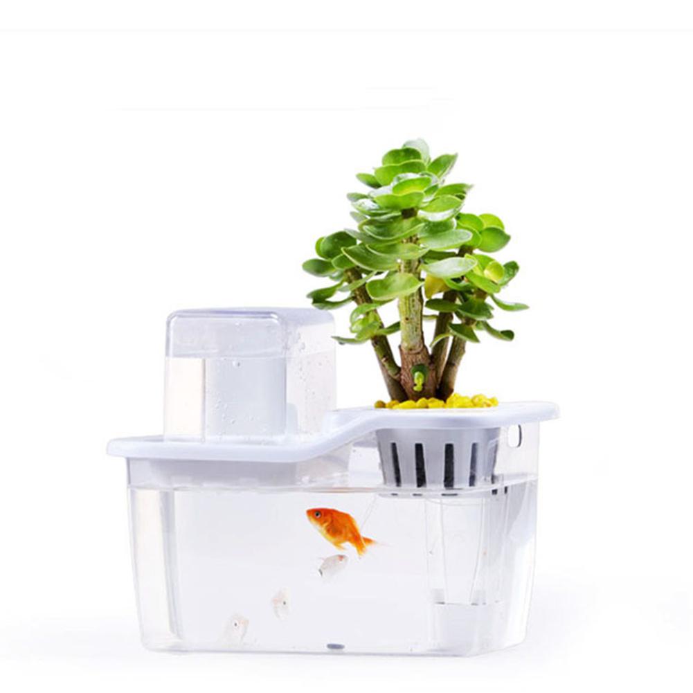 Mini Aquaponics Fish Tank with Circulation System