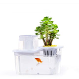 Mini Aquaponics Fish Tank with Circulation System