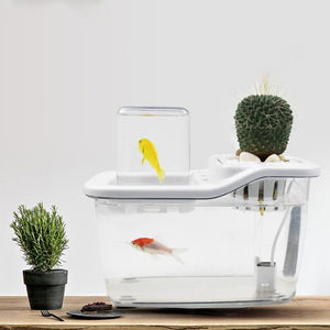 Mini Aquaponics Fish Tank with Circulation System