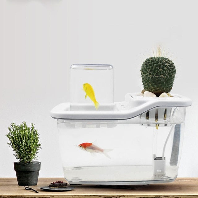Mini Aquaponics Fish Tank with Circulation System