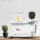 Mini Aquaponics Fish Tank with Circulation System