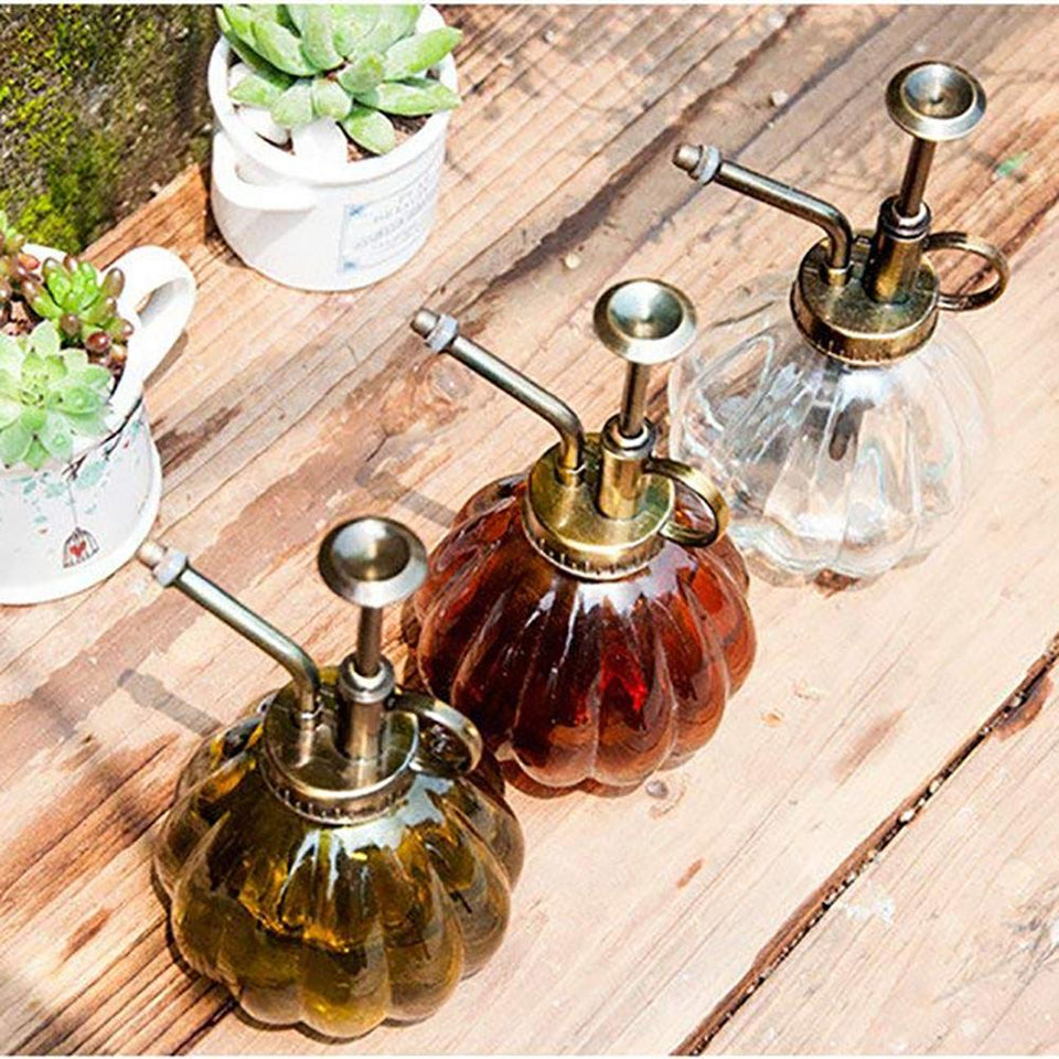 Beautiful Watering Flower Jug