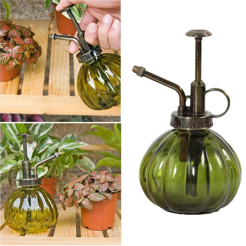 Beautiful Watering Flower Jug