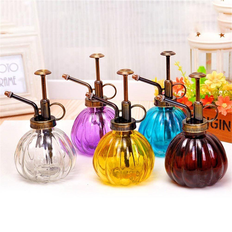 Beautiful Watering Flower Jug
