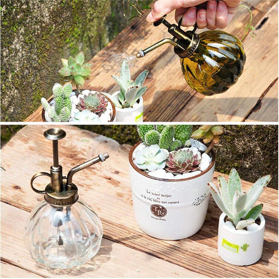 Beautiful Watering Flower Jug