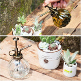 Beautiful Watering Flower Jug
