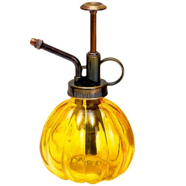 Beautiful Watering Flower Jug