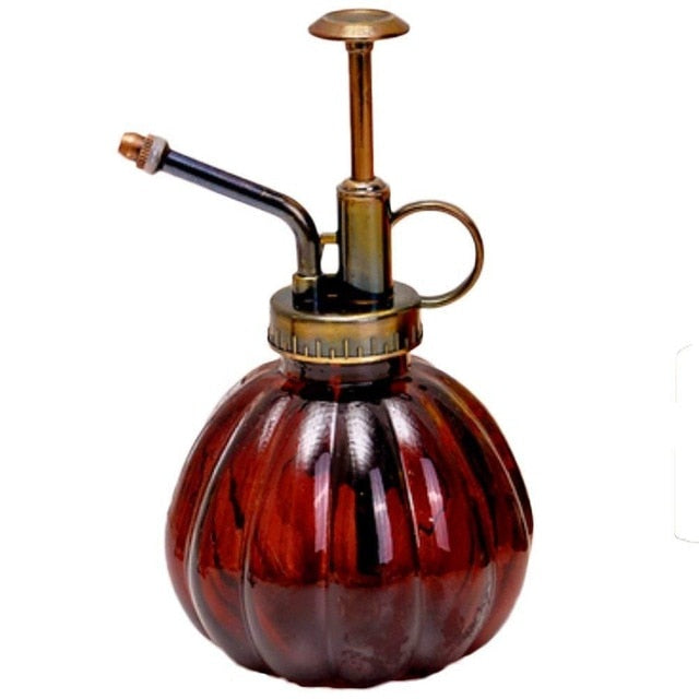 Beautiful Watering Flower Jug