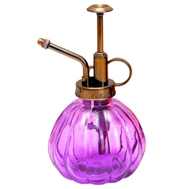 Beautiful Watering Flower Jug