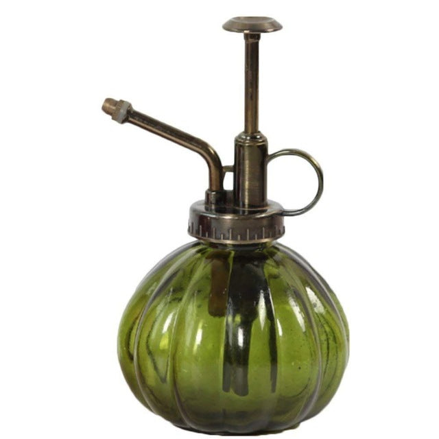 Beautiful Watering Flower Jug