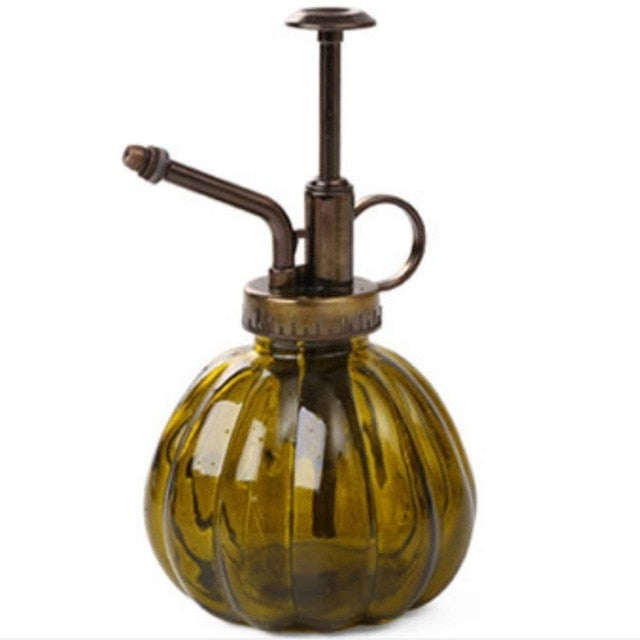 Beautiful Watering Flower Jug