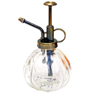 Beautiful Watering Flower Jug