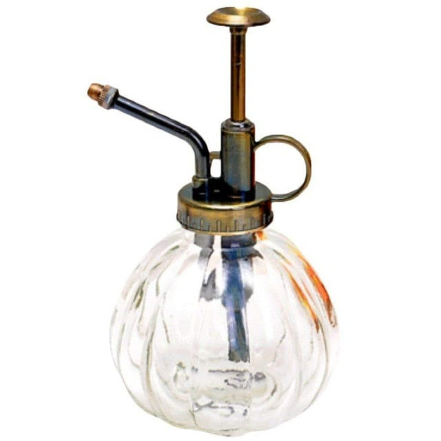 Beautiful Watering Flower Jug