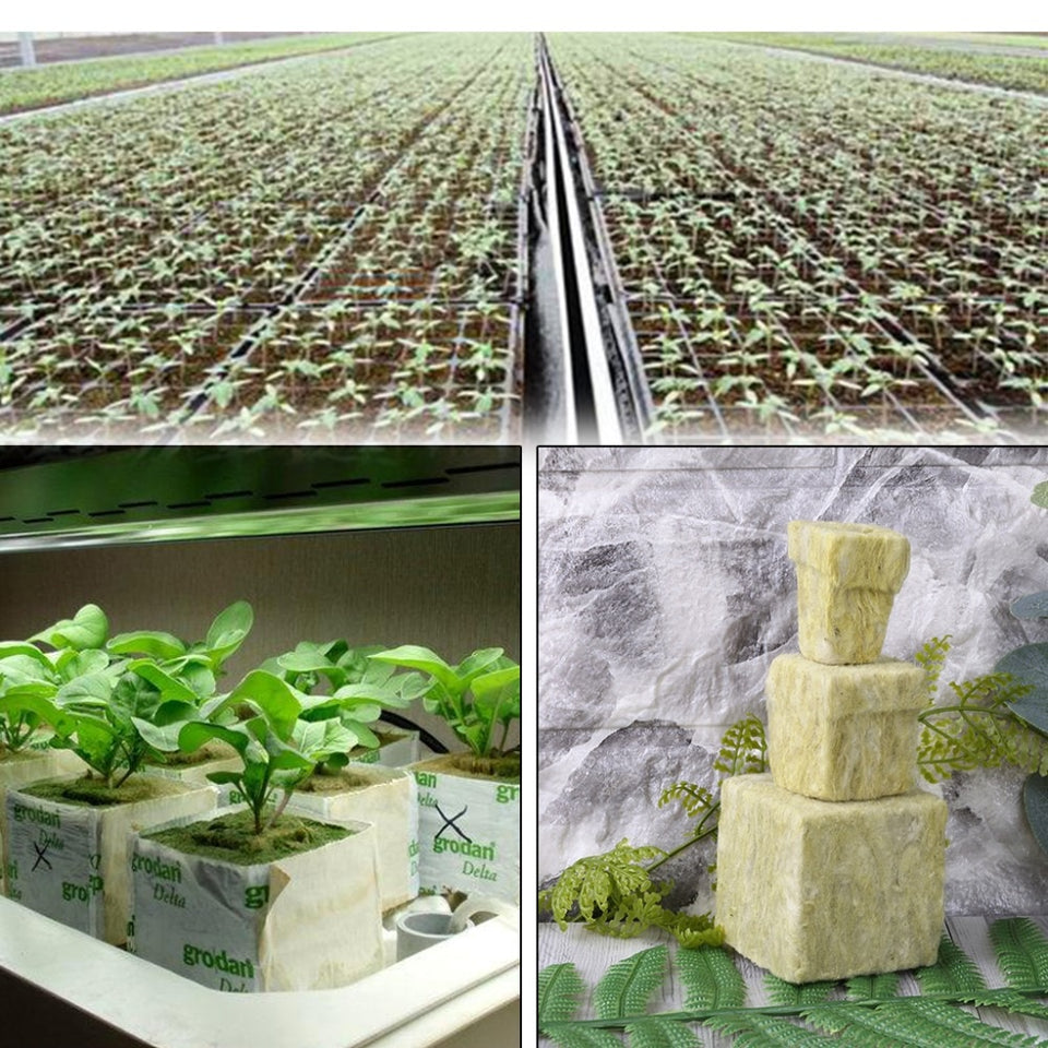 Cube Hydroponic Planting Compress Base