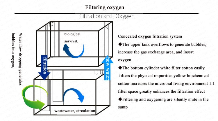 Portable Desktop Aquaponic Aquarium
