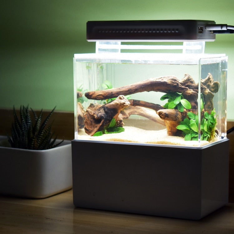 Portable Desktop Aquaponic Aquarium