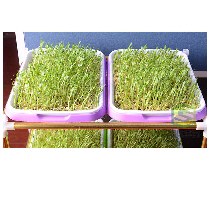 Hydroponics Seed Germination Tray