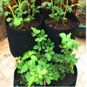 Breathable Plant Growth Bags