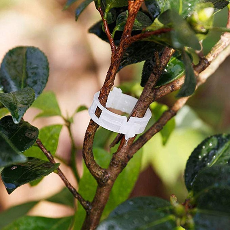 50/100pcs 30mm Plastic Plant Support Clips