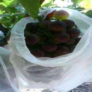 50Pcs/Lot Garden Vegetable Fruit Protection Bag