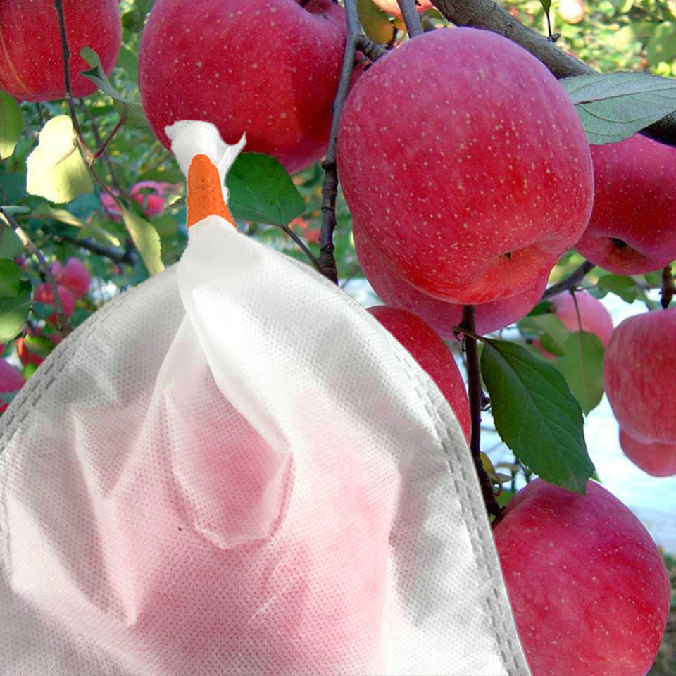 50Pcs/Lot Garden Vegetable Fruit Protection Bag