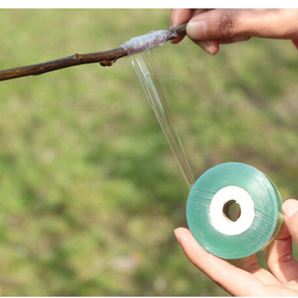 1Roll 2CM x 100M Nursery Grafting Tape