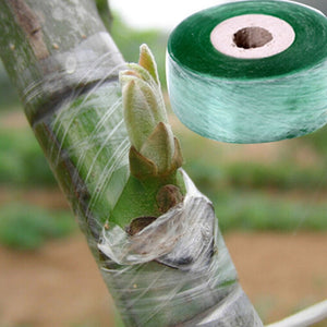 1Roll 2CM x 100M Nursery Grafting Tape