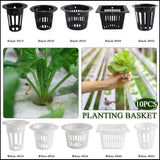 10pcs Heavy Duty Hydroponic Mesh Pot
