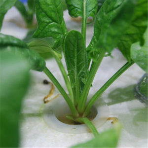 10pcs Heavy Duty Hydroponic Mesh Pot