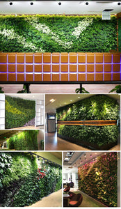 Wall Hanging Planting Bags
