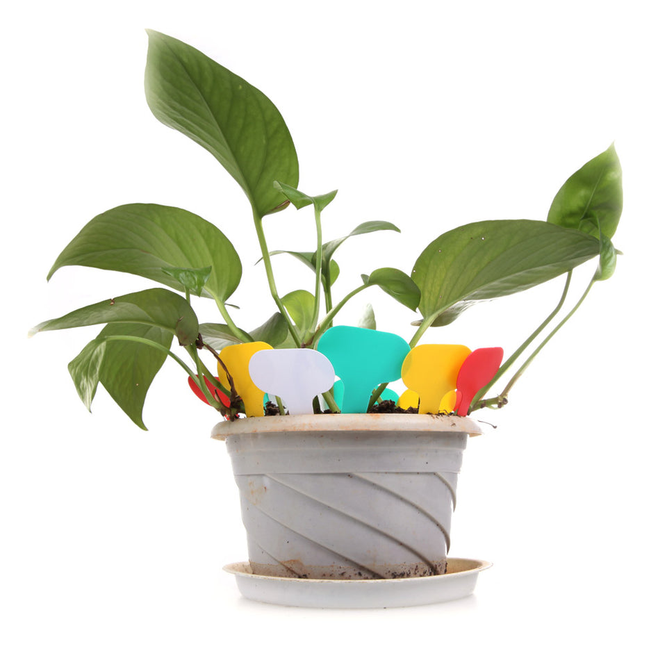 100pcs/lot Plant Tags