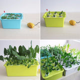 1 sets 220V/110V Plant Site Hydroponic Systems
