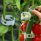 50/100pcs 30mm Plastic Plant Support Clips