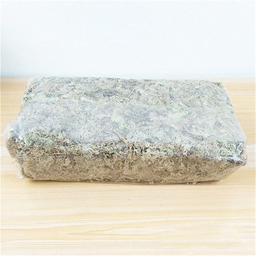 Moss Sphagnum Moisturizing Organic Fertilizer