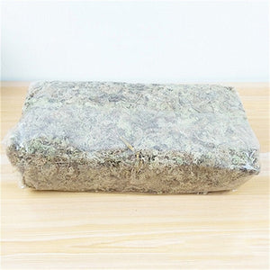 Moss Sphagnum Moisturizing Organic Fertilizer