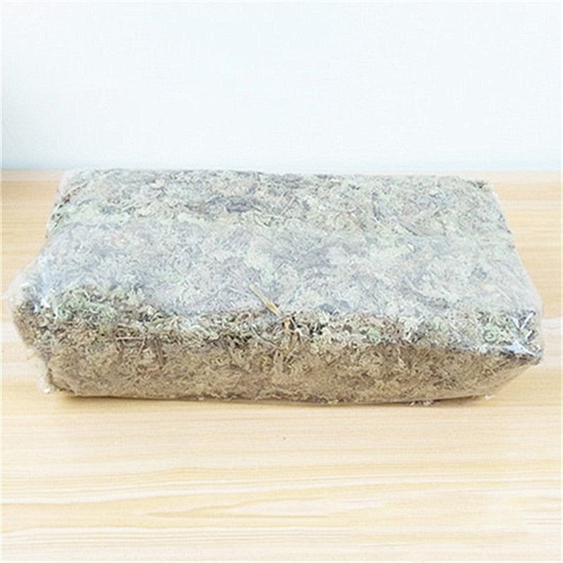 Moss Sphagnum Moisturizing Organic Fertilizer