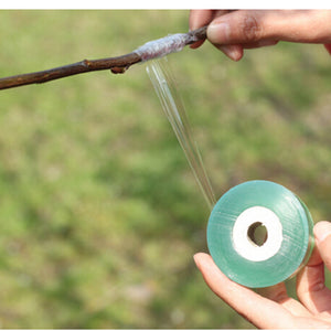 1Roll 2CM x 100M Nursery Grafting Tape