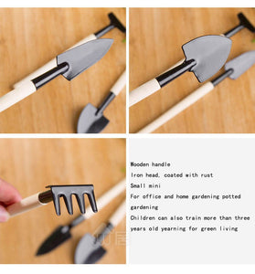 Home Gardening Tool Set