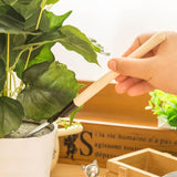 Home Gardening Tool Set