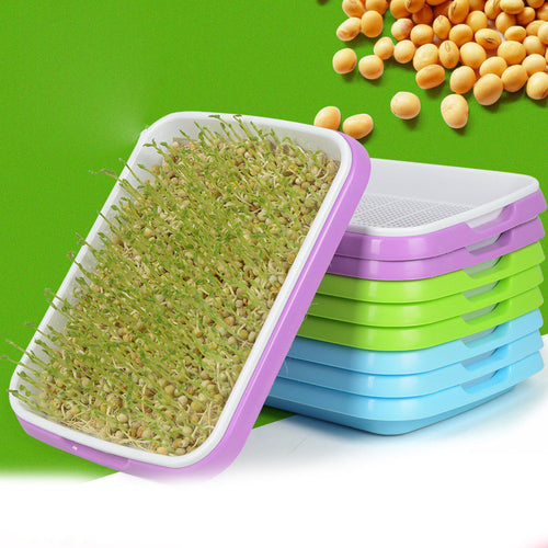 Hydroponics Seed Germination Tray