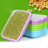 Hydroponics Seed Germination Tray