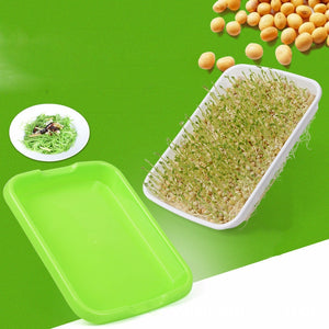 Hydroponics Seed Germination Tray