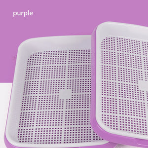Hydroponics Seed Germination Tray