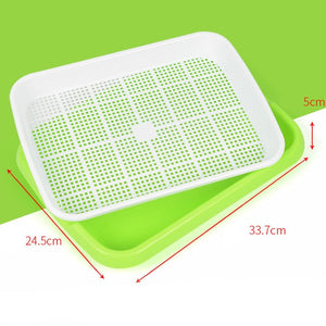 Hydroponics Seed Germination Tray