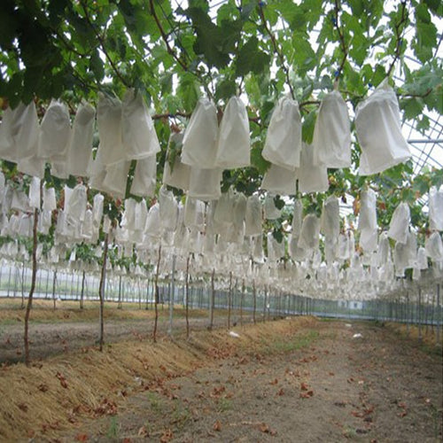 50Pcs/Lot Garden Vegetable Fruit Protection Bag