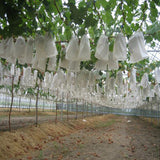 50Pcs/Lot Garden Vegetable Fruit Protection Bag