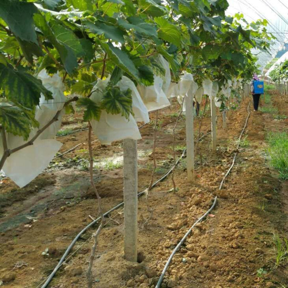 50Pcs/Lot Garden Vegetable Fruit Protection Bag